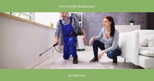 PEST CONTROL Bull Mountain